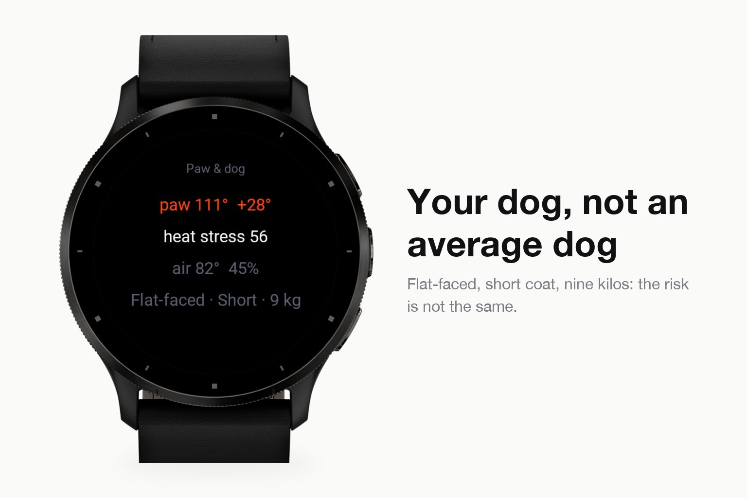 Pawcast screenshot 3